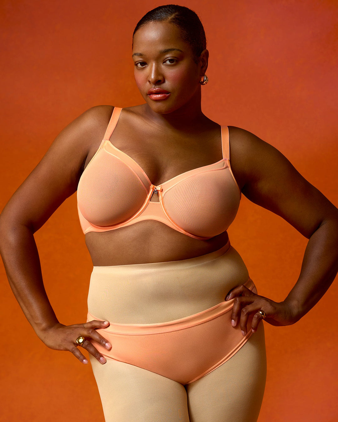 Sheer Mesh High Cut Brief Panty - Orange Tang