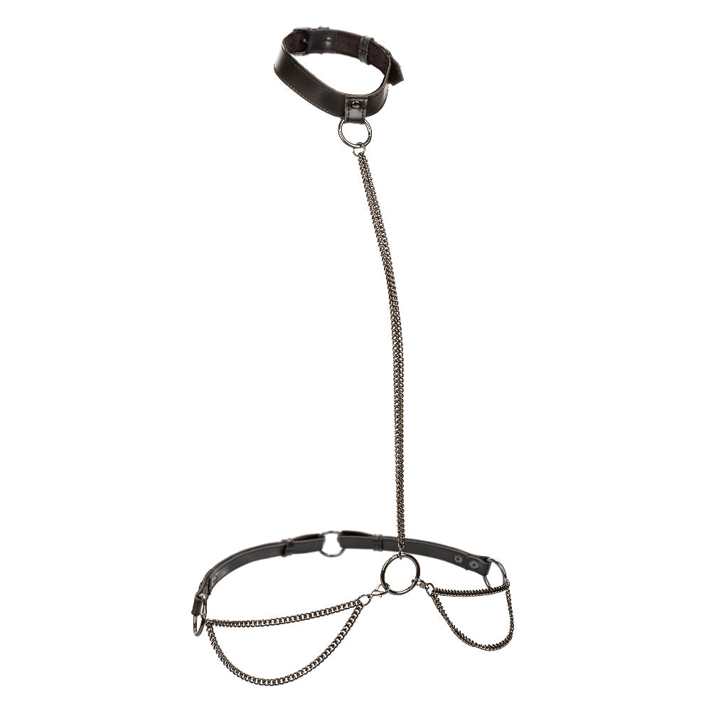 Euphoria Collection Plus Size Chain Halter/collar and Leash - Black - Love it Curvy