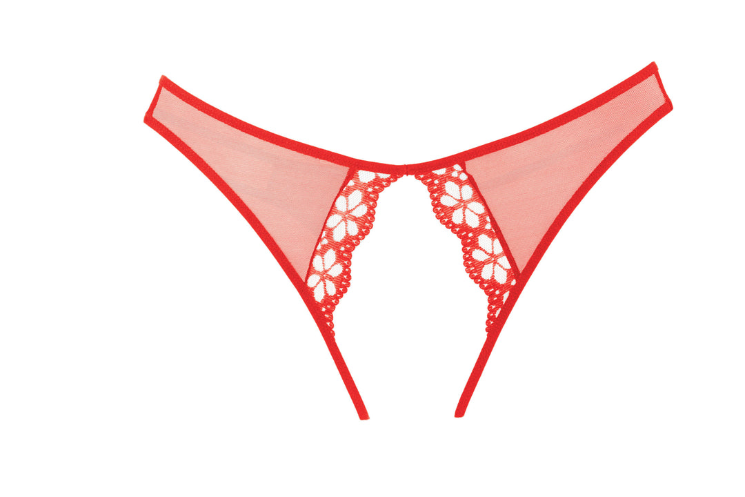 Mirabelle Plum Panty, product view