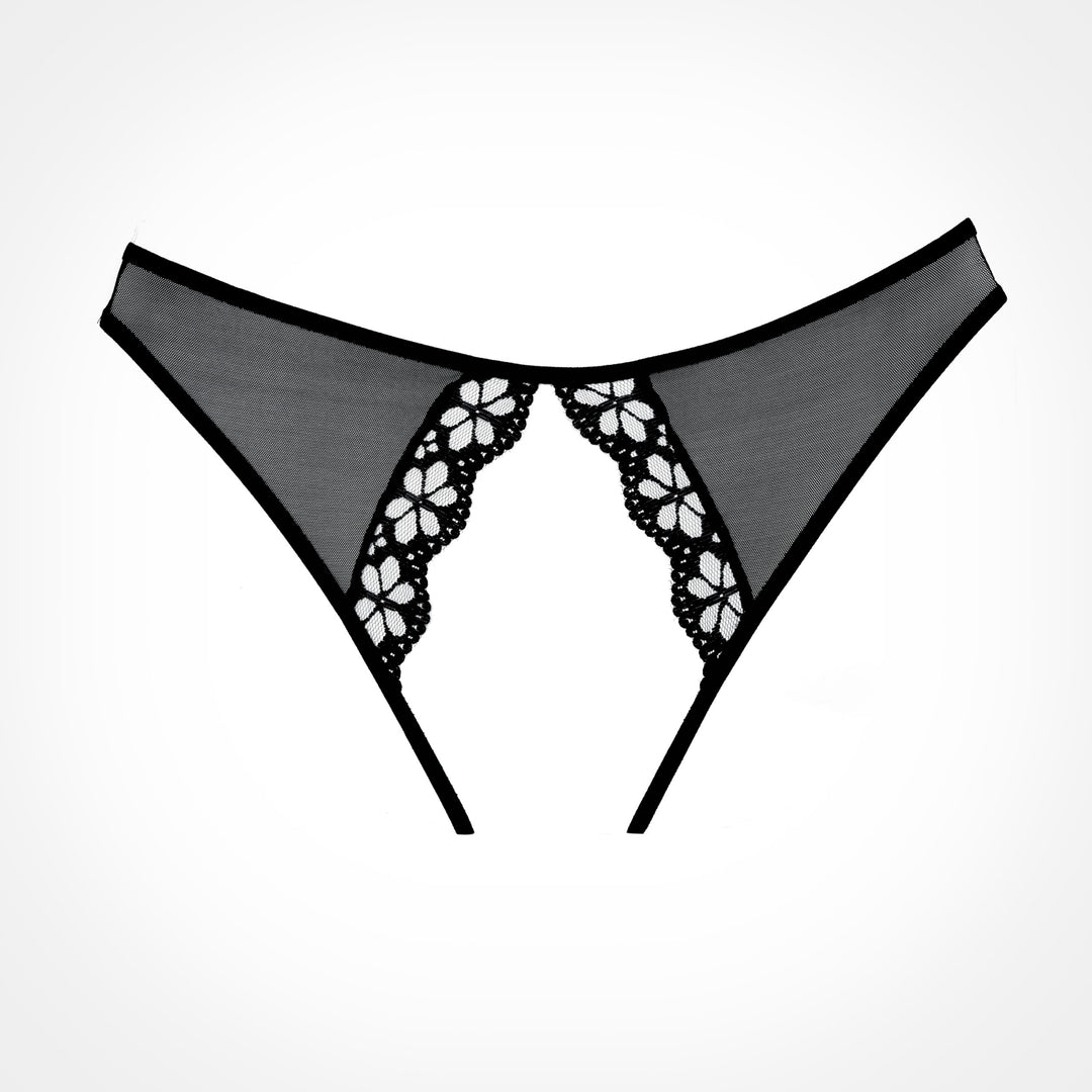 Mirabelle Plum Panty | Love It Curvy