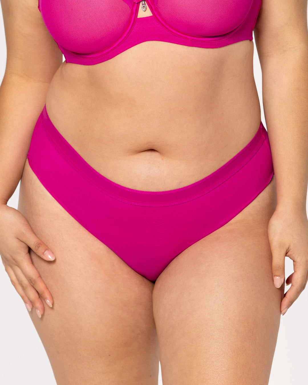 Sheer Mesh High Cut Brief Panty - Glamberry