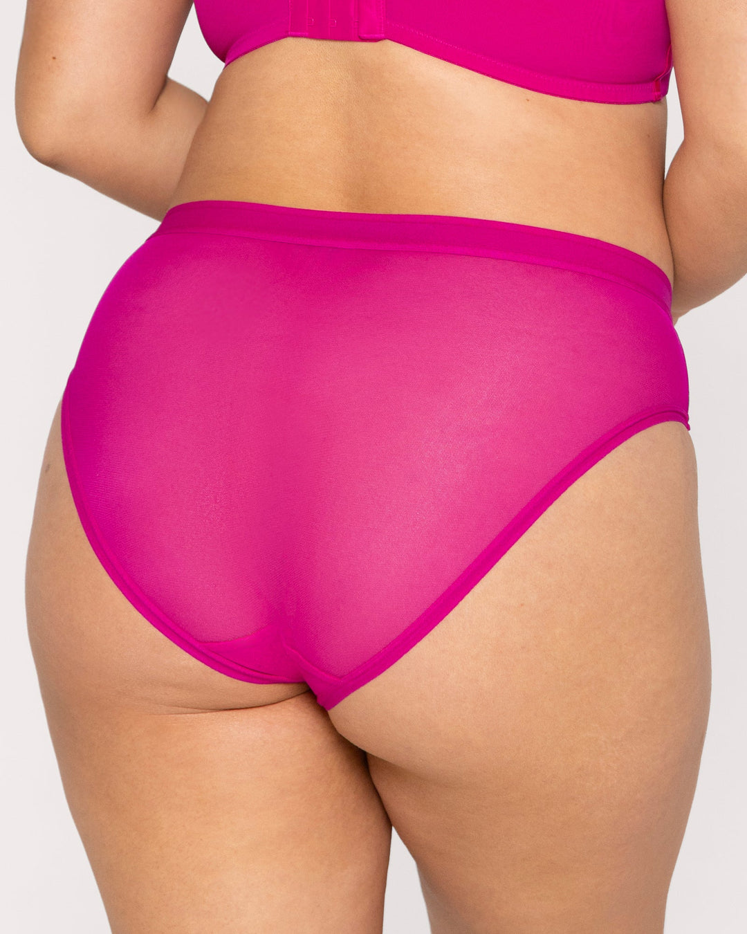 Sheer Mesh High Cut Brief Panty - Glamberry