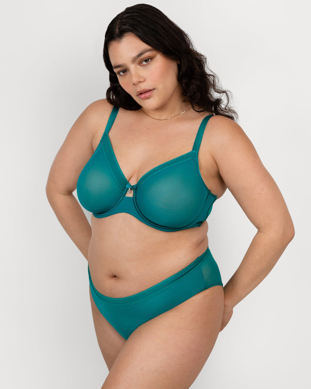 Sheer Mesh High Cut Brief Panty - Fanfare