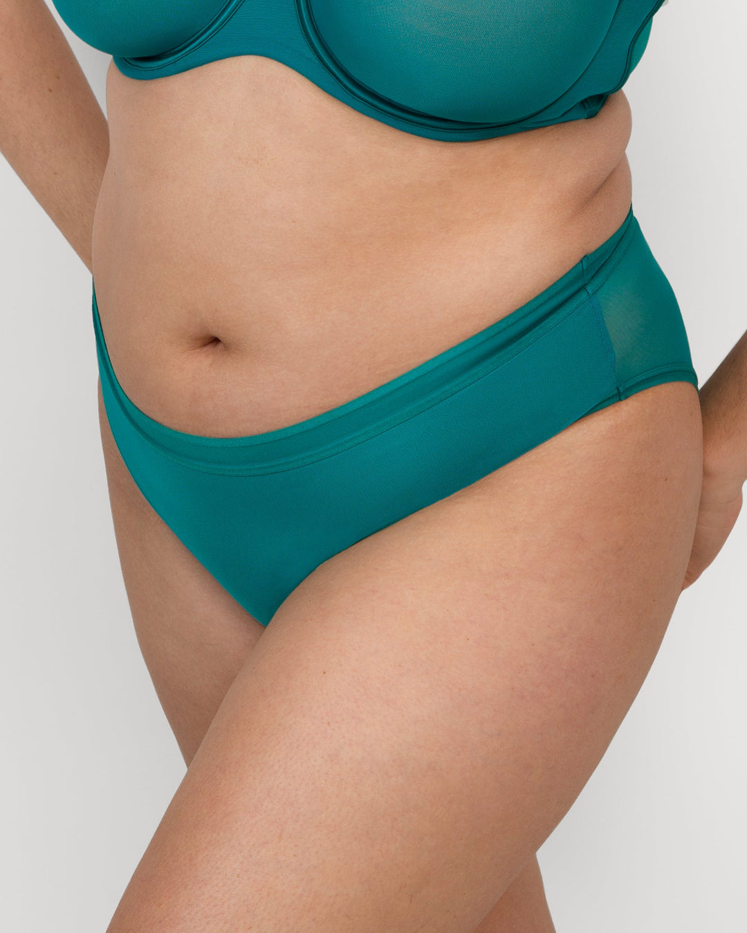 Sheer Mesh High Cut Brief Panty - Fanfare