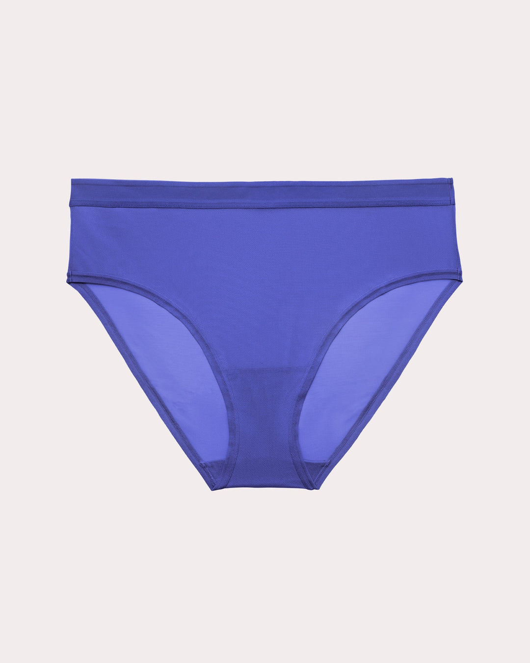 Sheer Mesh High Cut Brief Panty - Radiant Plum