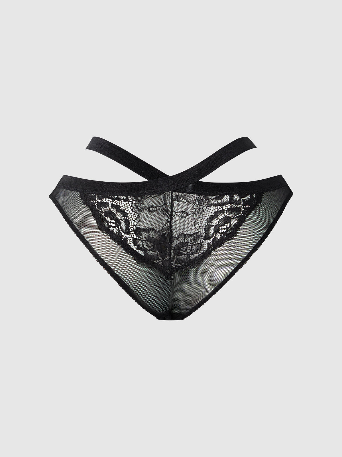 Natasha Lace & Mesh Strappy Hipster from Love It Curvy