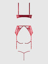 Rosalie Embroidered Lace Open-Cup Bra, Garter & G-String Set from Love It Curvy