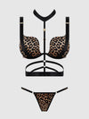 Devon Strappy Push Up Bra, Harness & G-String Set from Love It Curvy