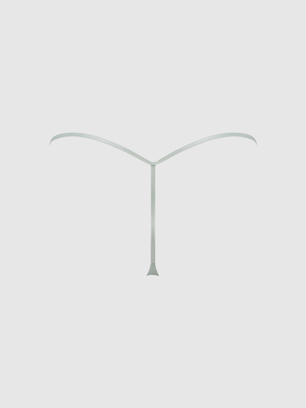 Allegra Silky Micro G-String | Love It Curvy