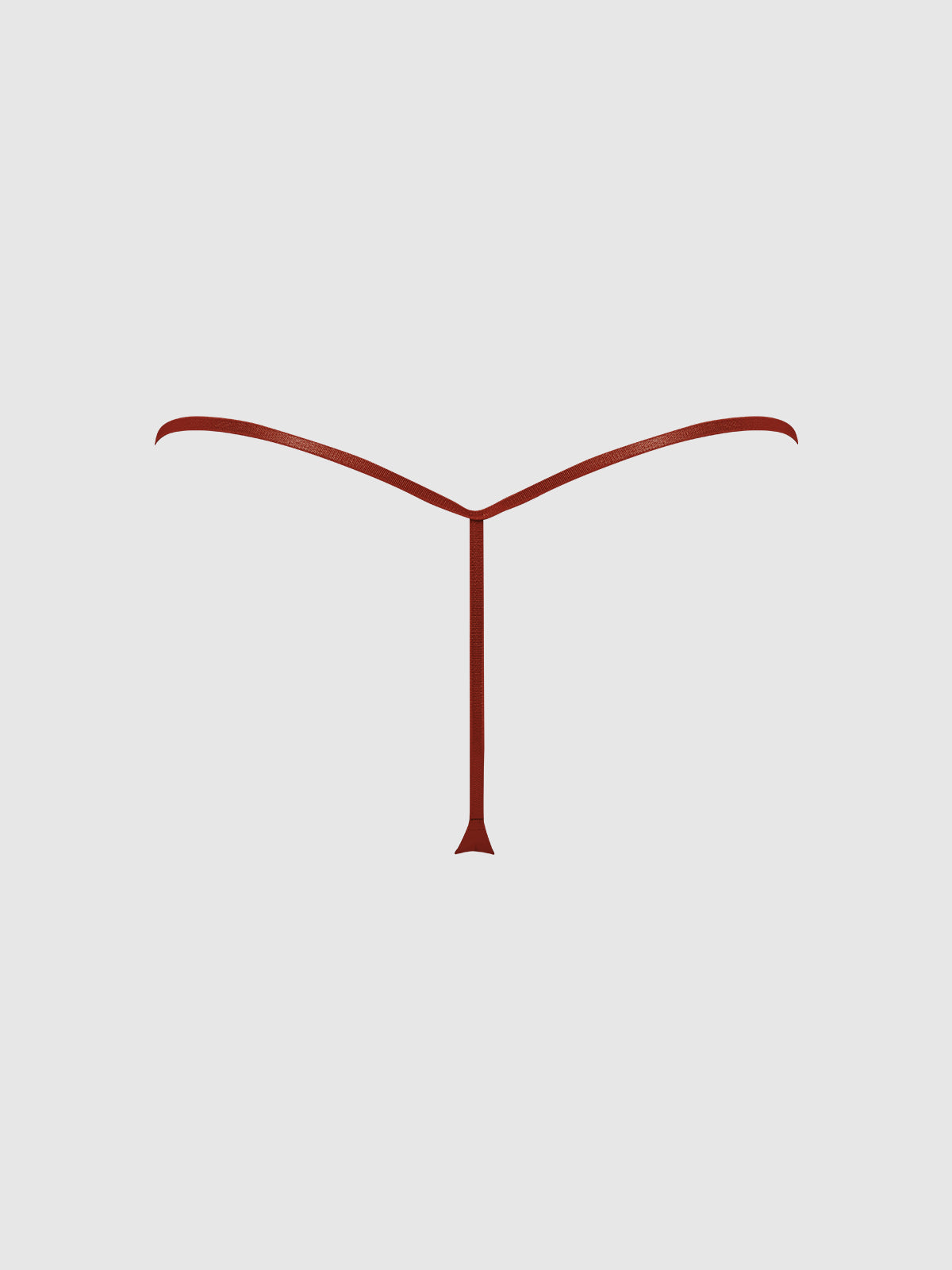 Allegra Silky Micro G-String | Love It Curvy