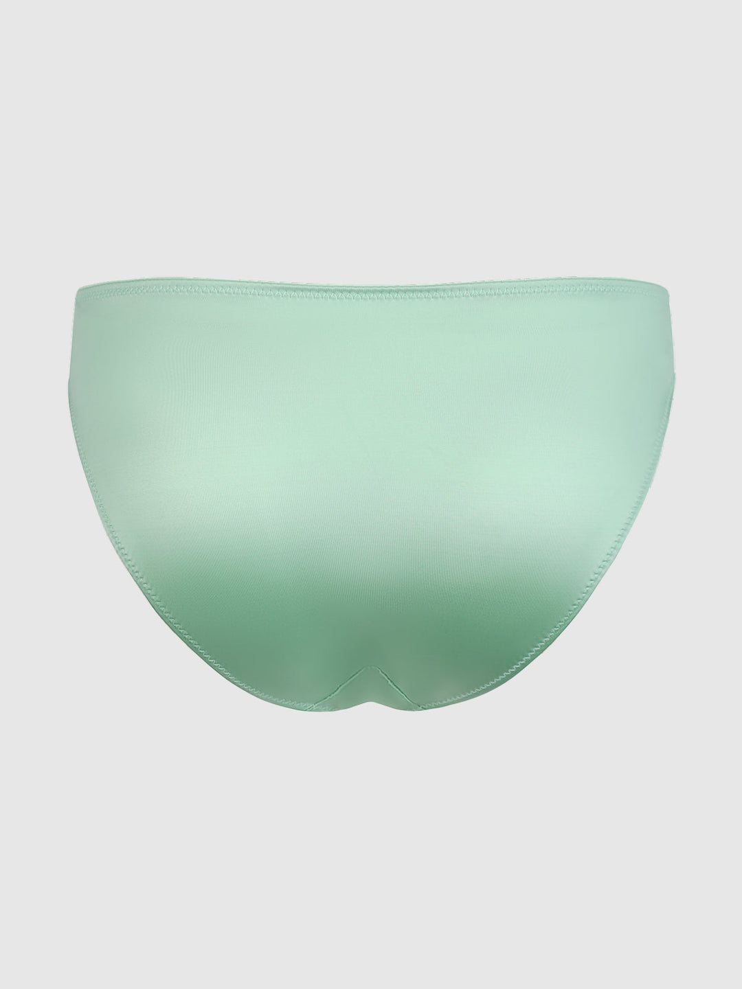 Allegra Liquid Satin Hipster | Love It Curvy