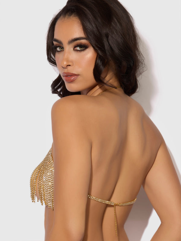 Rhinestone Dangle V-Neck Bra from Love It Curvy