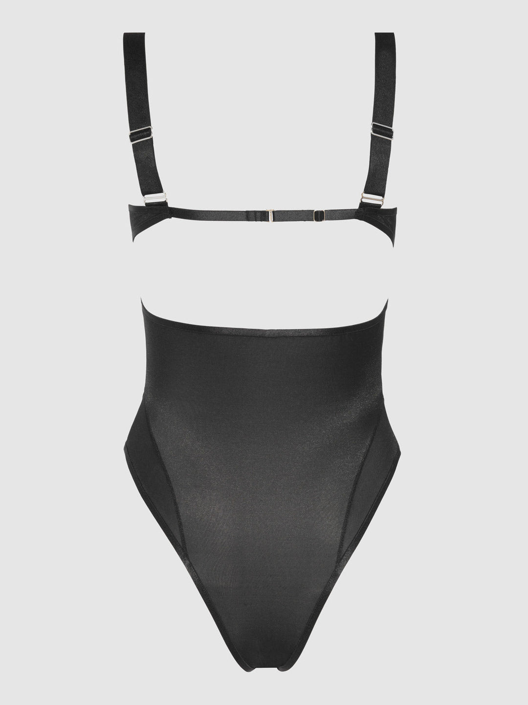 Yvone Shimmer Mesh Bodysuit from Love It Curvy