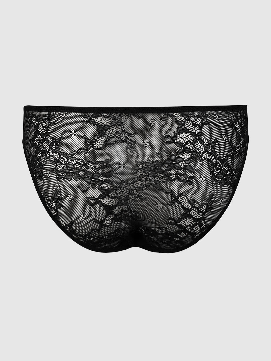Yvone Lace Hipster | Love It Curvy