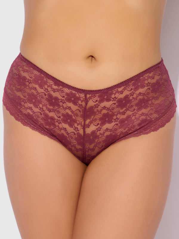 Caitlin Lace Cheeky With Mesh Lining from Love It Curvy