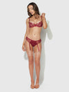 Eden Embroidered Lace Bra & Backless Hipster Set from Love It Curvy