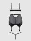 Raquel Mesh & Silky Micro Bra, Garter Skirt & G-String Set from Love It Curvy