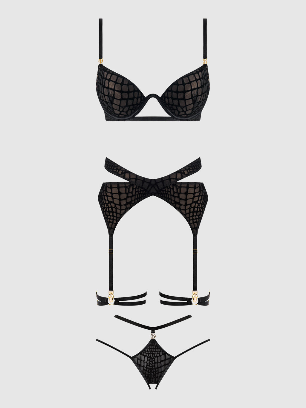 Snake Velvet-Burnout Mesh Bra, Garter, & Backess Hipster Set from Love It Curvy