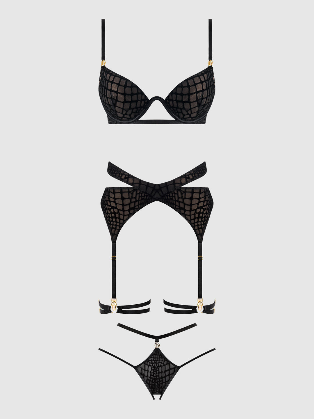 Snake Velvet-Burnout Mesh Bra, Garter, &amp; Backess Hipster Set from Love It Curvy
