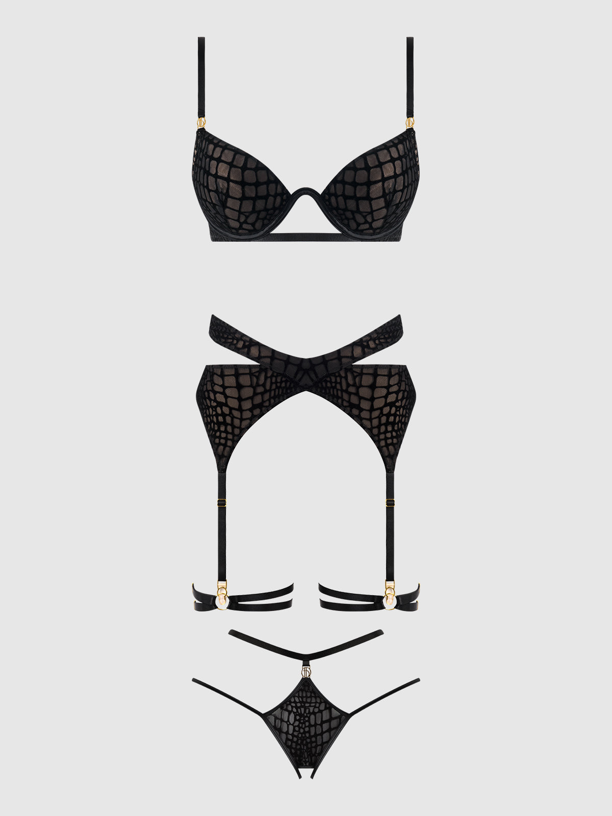 Snake Velvet-Burnout Mesh Bra, Garter, & Backess Hipster Set from Love It Curvy