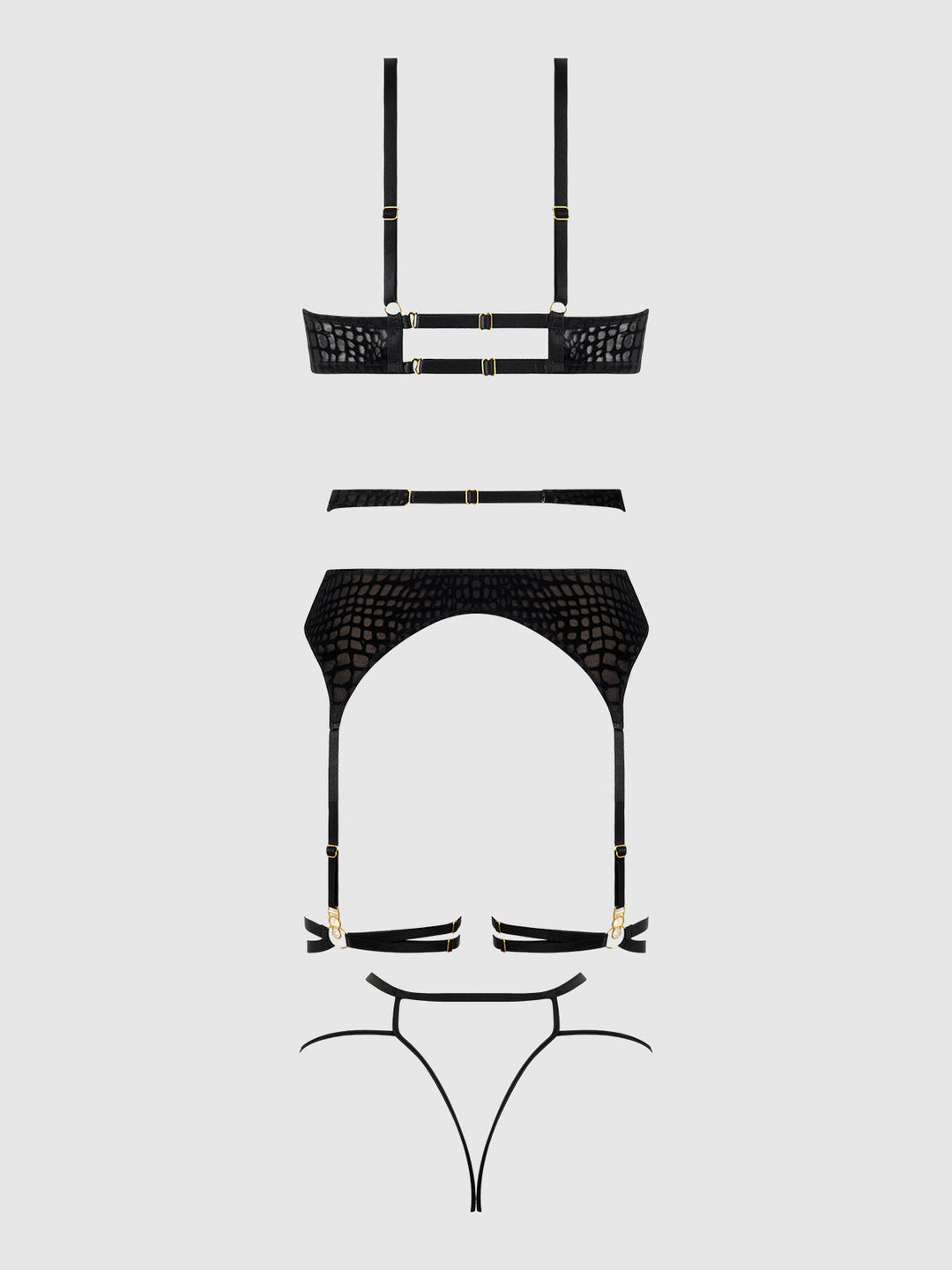 Snake Velvet-Burnout Mesh Bra, Garter, &amp; Backess Hipster Set from Love It Curvy