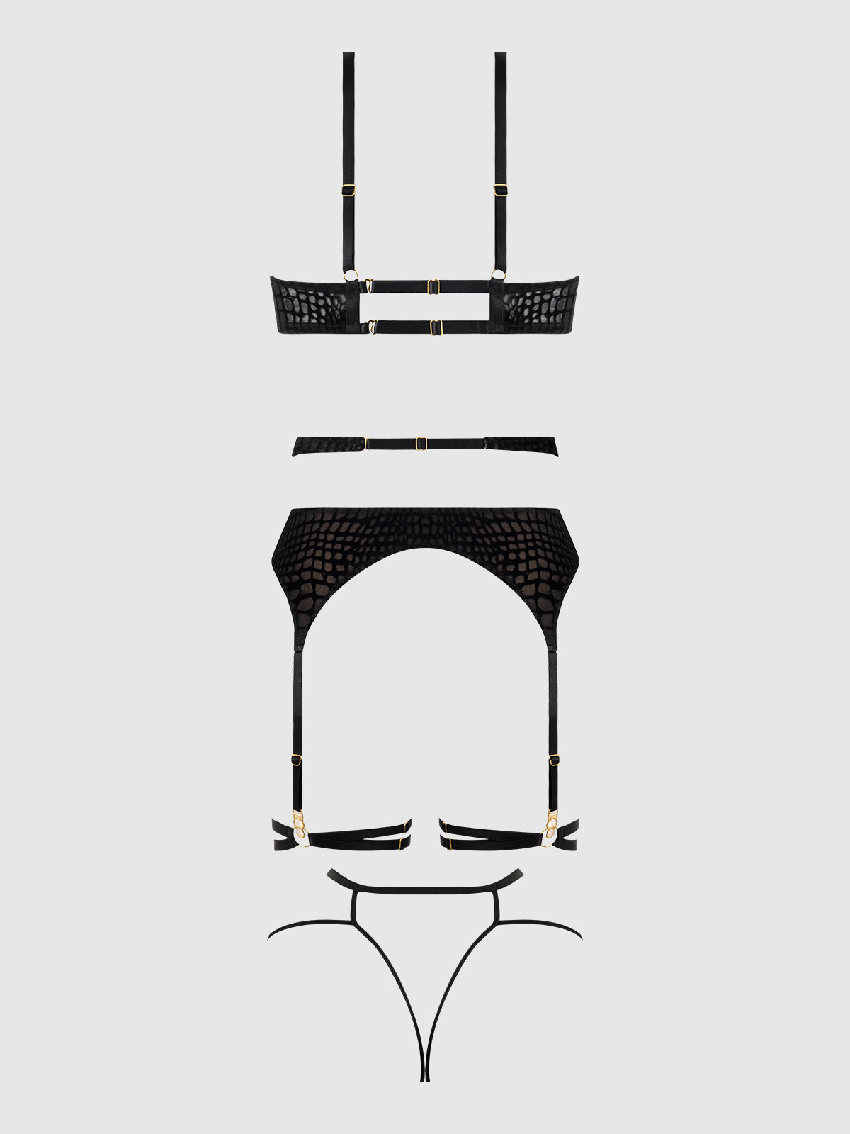 Snake Velvet-Burnout Mesh Bra, Garter, & Backess Hipster Set from Love It Curvy