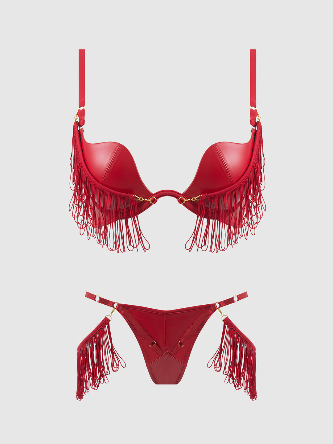 Phoenix Faux Leather &amp; Fringe Push Up Bra &amp; Thong Set from Love It Curvy