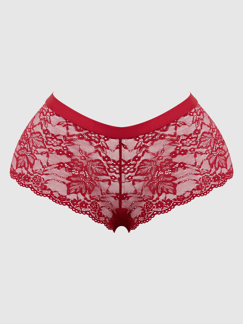 Bella Crisscross Back Lace Cheeky from Love It Curvy