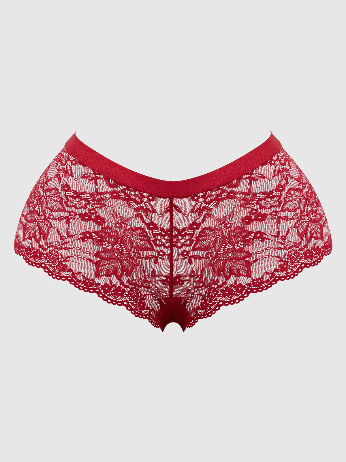 Bella Crisscross Back Lace Cheeky from Love It Curvy