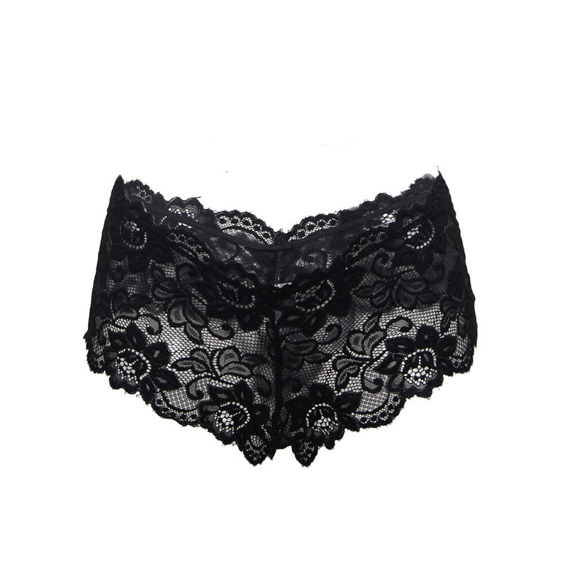 Sexy Sheer Floral Lace Brief Panties in white-1 - Love It Curvy