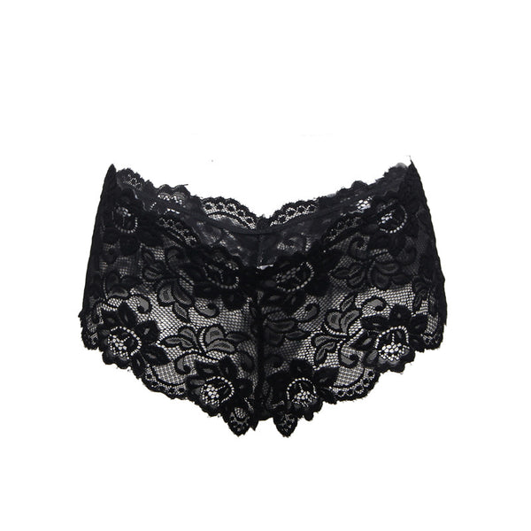 Sexy Sheer Floral Lace Brief Panties in white-1 - Love It Curvy