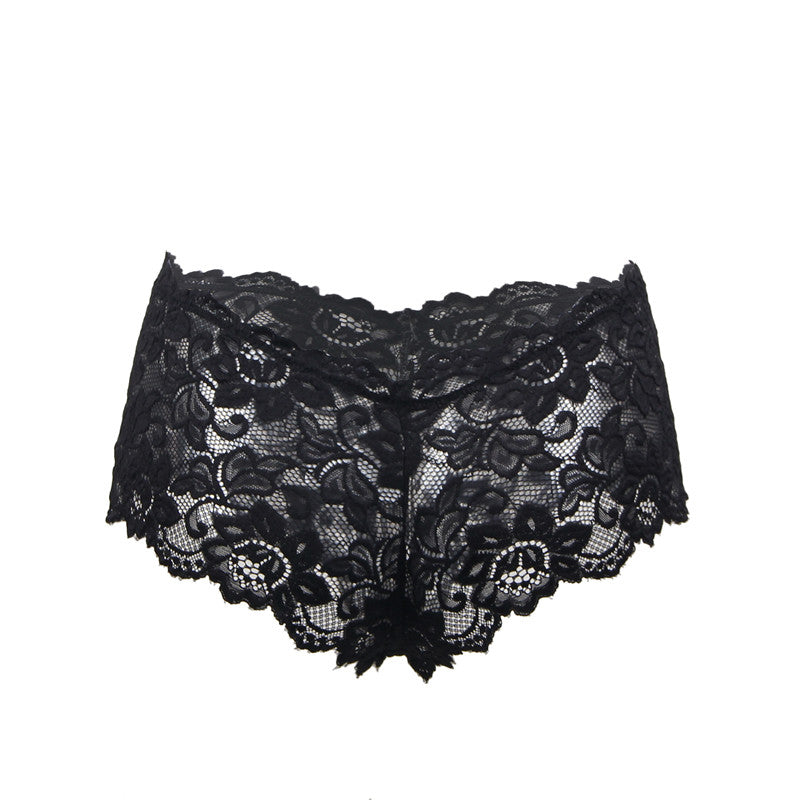 Sexy Sheer Floral Lace Brief Panties in white-1 - Love It Curvy