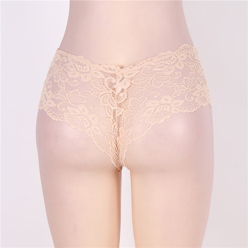 Sexy Sheer Floral Lace Brief Panties in aqua - Love It Curvy