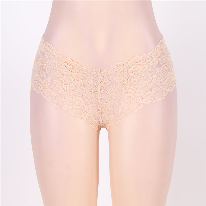 Sexy Sheer Floral Lace Brief Panties in aqua - Love It Curvy
