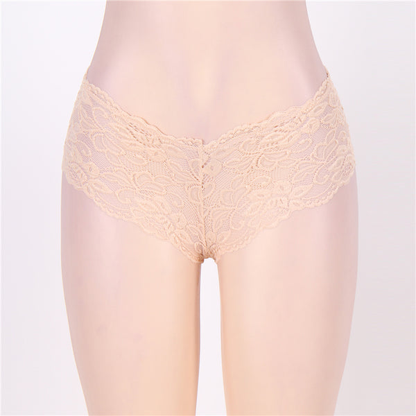 Sexy Sheer Floral Lace Brief Panties in aqua - Love It Curvy