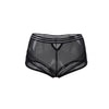 Classy Sheer Mesh High Waist Transparent Panty | Love it Curvy