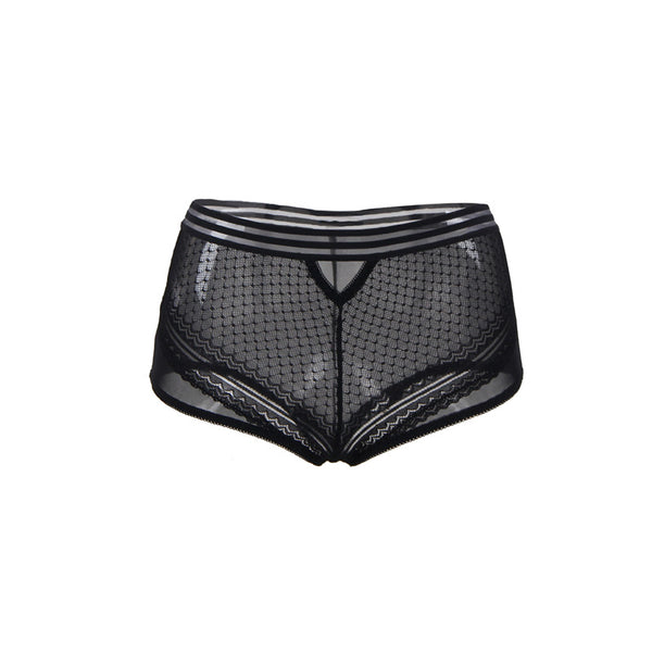 High-Waisted Strappy Lace & Mesh Panty | Love It Curvy