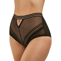 Classy Sheer Mesh High Waist Transparent Panty | Love it Curvy