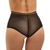 Classy Sheer Mesh High Waist Transparent Panty | Love it Curvy