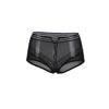 Classy Sheer Mesh High Waist Transparent Panty | Love it Curvy