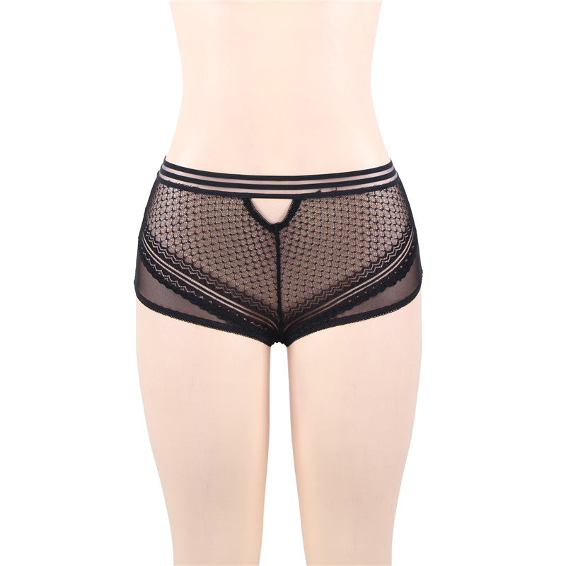 Classy Sheer Mesh High Waist Transparent Panty | Love it Curvy