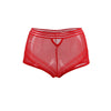 Classy Sheer Mesh High Waist Transparent Panty | Love it Curvy