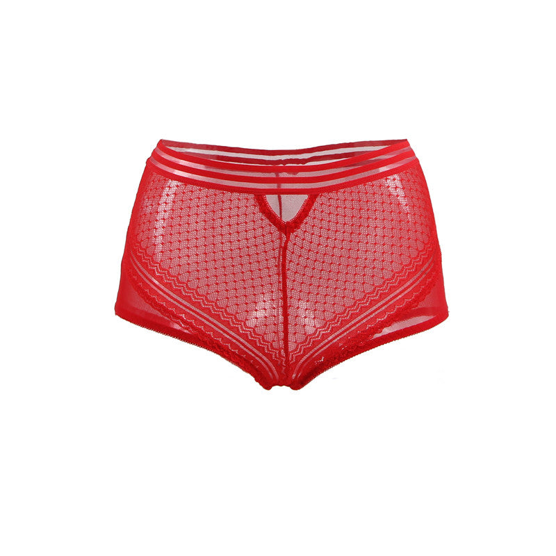 Classy Sheer Mesh High Waist Transparent Panty | Love it Curvy