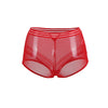 Classy Sheer Mesh High Waist Transparent Panty | Love it Curvy
