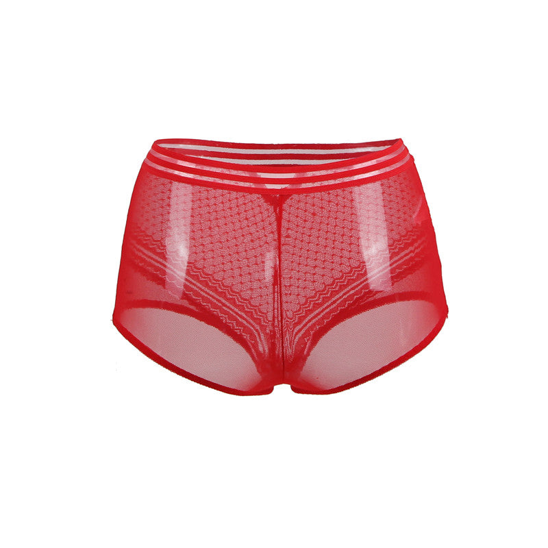 Classy Sheer Mesh High Waist Transparent Panty | Love it Curvy