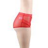 Classy Sheer Mesh High Waist Transparent Panty | Love it Curvy