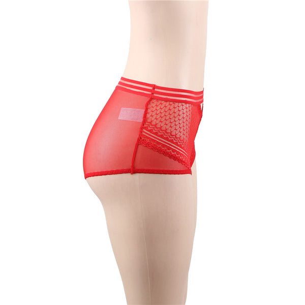 High-Waisted Strappy Lace & Mesh Panty | Love It Curvy
