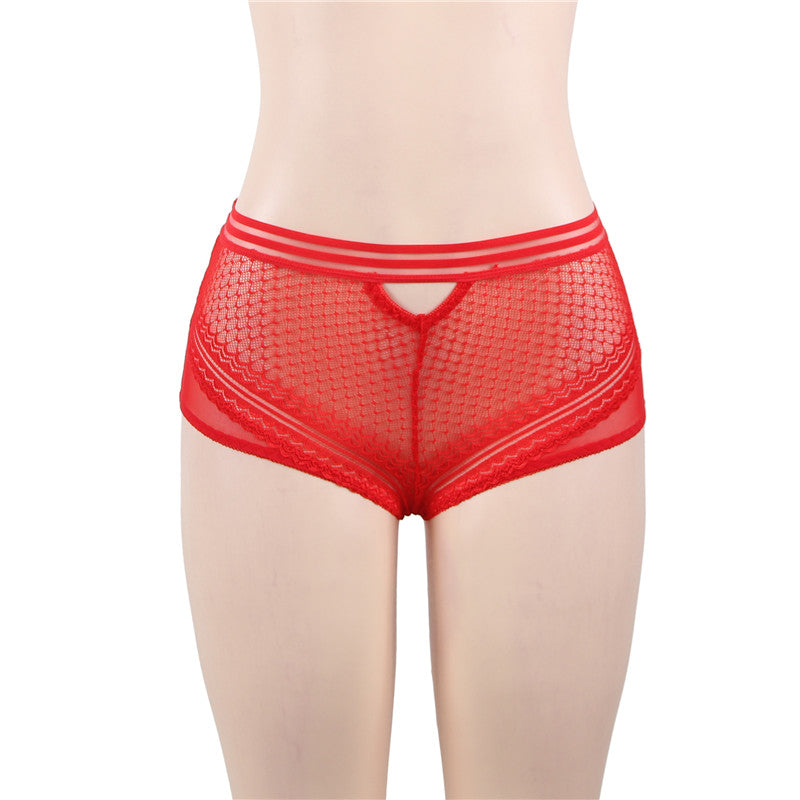 Classy Sheer Mesh High Waist Transparent Panty | Love it Curvy
