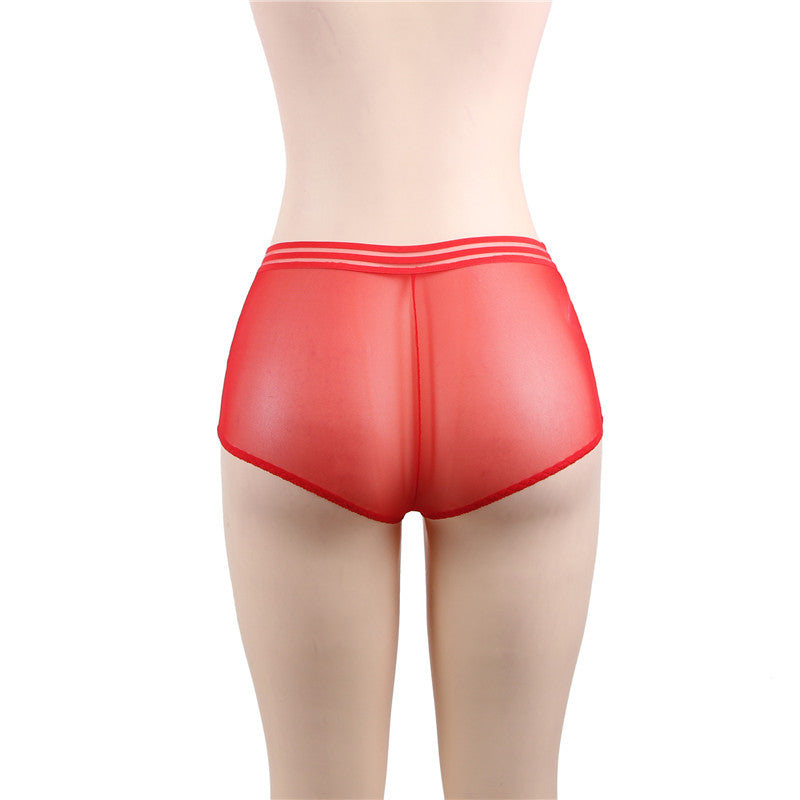 Classy Sheer Mesh High Waist Transparent Panty | Love it Curvy