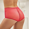 Classy Sheer Mesh High Waist Transparent Panty | Love it Curvy